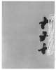 Image of Untitled