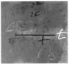 Image of Signes negres sobre fons gris