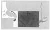 Image of Dos fragments