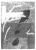 Image of Untitled
