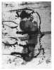 Image of Untitled