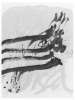 Image of Untitled