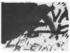 Image of Signes negres