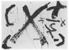 Image of Gran X