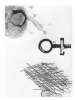 Image of Untitled
