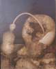Image of Untitled