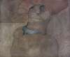 Image of Untitled