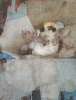 Image of Untitled