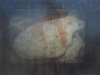 Image of Sueños de Brueghel