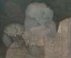 Image of Cabeza gatuna
