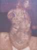 Image of Cachupete