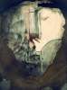 Imagen de la obra Cara