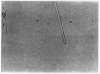 Imagen de la obra Cop de Poma (cubierta posterior)