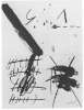 Imagen de la obra Graffiti noirs