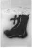 Imagen de la obra Pied marron