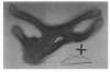 Imagen de la obra Boca i creu