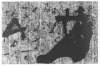 Imagen de la obra Graffiti negre sobre gris